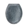 Tualeto sėdynė OTTANA GRANIT - Duroplast, laisvai krintanti, WENKO