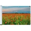 Maximex UV-resistant balcony cover, 500 x 85 cm