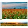 Maximex UV-resistant balcony cover, 500 x 85 cm