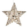 Home Styling Collection Pakabinama šviesa žvaigždės formos dekoracija, 30 cm