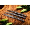 Steiko peiliai LAGUIOLE Premium Line by STYLE DE VIE, 6 vnt. su stovu, Juodas Stonewash