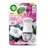 Air Wick eteriniai aliejai elektrinis oro gaiviklis ir papildymas Moon Lily įvyniotas į satiną 19ml