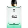 Ajmal Free Spirit EDP parfumuotas vanduo vyrams, 100 ml