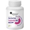 Aliness Berberino sulfatas 98 % 400 mg maisto papildas 60 kapsulių