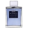 Kvepalai vyrams Antonio Banderas King Of Seduction EDT, 200 ml