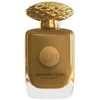 Auraa Desire Beyond Time PP kvepalai vyrams, 100 ml