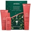 Aveda Nutriplenish rinkinys plaukų šampūnas 100ml + plaukų kondicionierius 100ml + nenuplaunamas kondicionierius 150ml