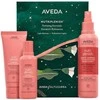 Aveda Nutriplenish rinkinys plaukų šampūnas 100ml + plaukų kondicionierius 100ml + nenuplaunamas kondicionierius 200ml