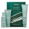 Aveda Scalp Solutions rinkinys plaukų šampūnas 100ml + plaukų kondicionierius 100ml + šveičiamoji galvos odos procedūra 150ml