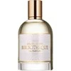 Bibliotheque De Parfum Parfuminio vandens purškiklis Brutal Story 100ml