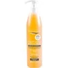 Byphasse Sublim Protect Keratino šampūnas 250ml