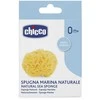 Chicco natūrali jūros kempinė