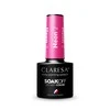 Activeshop Claresa Soak Off UV/LED Neon 2, 5 g