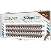 Clavier BeShaped rudos blakstienos riestos B 10D mix 8/10/12mm