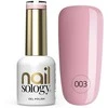 Realac Clavier Nailsology hibridinis lakas 003 Nuotaka ir būsima 8ml