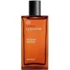 Collistar Uomo Acqua Wood EDT tualetinis vanduo vyrams, 100 ml