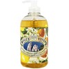 Skystas muilas Dante Dolce Vivere Capri 500ml