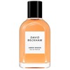 David Beckham Amber Breeze EDP parfumuotas vanduo vyrams, 50 ml