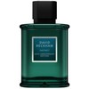 David Beckham Instinct 20th Anniversary Edition EDP parfumuotas vanduo vyrams, 75 ml