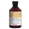 Davines Naturaltech maitininantis, 250 ml