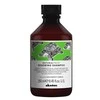 Davines Natural Tech Renewing Šampūnas, 250 ml