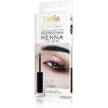 Delia Eyebrow Expert Instant Eyebrow Tint 1.0 Juodas, 6 ml