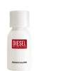 Diesel Plus Plus Masculine EDT tualetinis vanduo vyrams, 75 ml