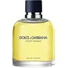 Kvepalai vyrams Dolce &amp; Gabbana Pour Homme EDT, 75 ml