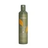 Echosline Ki-Power Veg Prepararer Reconstruction Šampūnas atkuriantis šampūnas pažeistiems plaukams, 300 ml