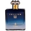 Emir Trillium EDP parfumuotas vanduo vyrams, 100 ml