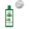Equilibra Repair Restruct šampūnas , 300 ml