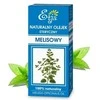 Etja Melis Etheric Alyva, 10ml