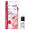 Eveline Cosmetics 6w1 Care&amp;Colour, 5 ml