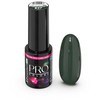 Chiodo Pro Excellent Pro Pro Color Limited hibridinis lakas 837 7g
