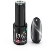 Cosmetics Zone Excellent Pro Pro Colors Hema Free CatEye hibridinis lakas 117 Silent Night 7g