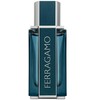 Salvatore Ferragamo Ferragamo Ferragamo Intense Leather EDP parfumuotas vanduo vyrams, 50 ml