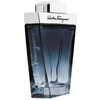 Salvatore Ferragamo Subtil Pour Homme EDT tualetinis vanduo vyrams, 100 ml
