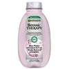 Garnier Botanic Therapy Rice Vanduo &amp; Starch, 400 ml