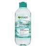 Garnier Hyaluronic Aloe, 400 ml