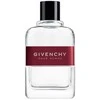 Givenchy Pour Homme EDT tualetinis vanduo vyrams, 100 ml
