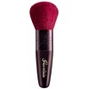 Guerlain Terracotta Bronzer Bronzer