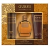 Vyriški kvepalai GUESS Guess by Marciano EDT, 100 ml