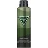 Guess Elements Forest Žalias dezodorantinis purškiklis 226ml