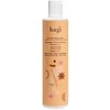 Hagi Spiced Oranžinis, 300 ml