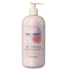 Inebrya Ice Kreminis Dry-T Conditioner maitinamasis plaukų kondicionierius, 1000 ml