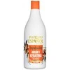 Instituto Español Argano + Keratino regeneruojantis šampūnas 750ml