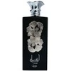 Lattafa Ansaam Sidabrinis EDP parfumuotas vanduo, 100 ml