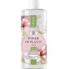 Lirene Power of Plants raminantis micelinis skystis 3in1 rožė 400ml