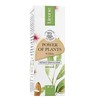 Lirene Power of Plants Migdał, 30 ml