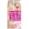L'Oreal Paris Casting Creme Gloss 1010 Frosty Light Skirtas šviesiems plaukams